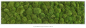 Kugelmoosbild 140 x 40 cm ***Achtung: Im Warenkorb die Versandkosten nach Preis/Gewicht auswählen***