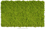 Islandmoosbild 100 x 60 cm ***Achtung: Im Warenkorb die Versandkosten nach Preis/Gewicht auswählen***