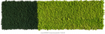 Islandmoosbild 140 x 400 cm ***Achtung: Im Warenkorb die Versandkosten nach Preis/Gewicht auswählen***