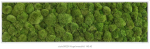 Kugelmoosbild 140 x 40 cm ***Achtung: Im Warenkorb die Versandkosten nach Preis/Gewicht auswählen***