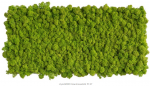 Islandmoosbild 57 x 27 cm ***Achtung: Im Warenkorb die Versandkosten nach Preis/Gewicht auswählen***